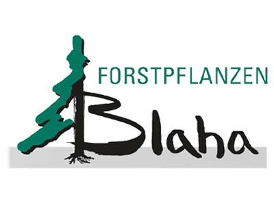 Forstpflanzen Blaha
